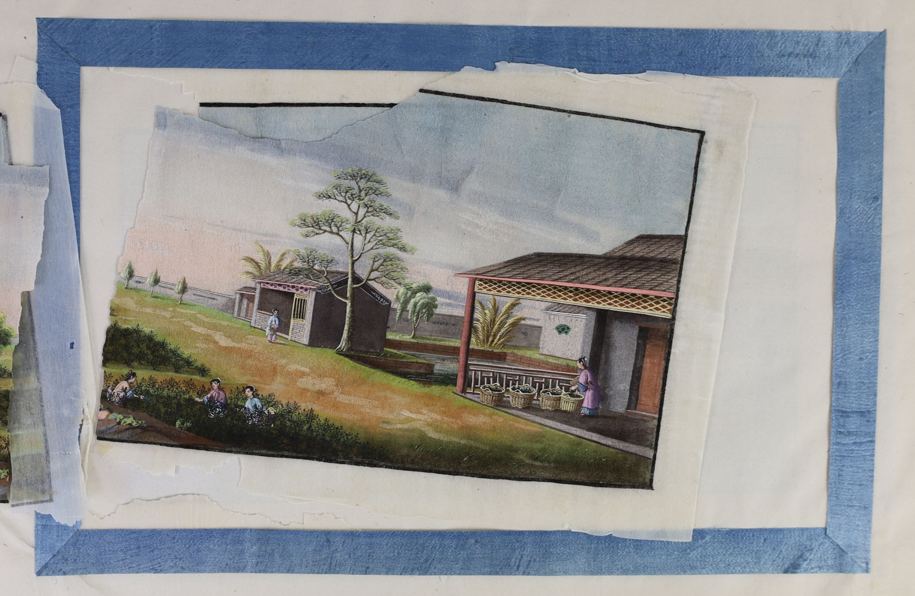An album of eleven Chinese ‘tea production and trading’ pith paintings, Guangzhou, mid 19th century, Album 25.5 cm X 37 cm, Some losses